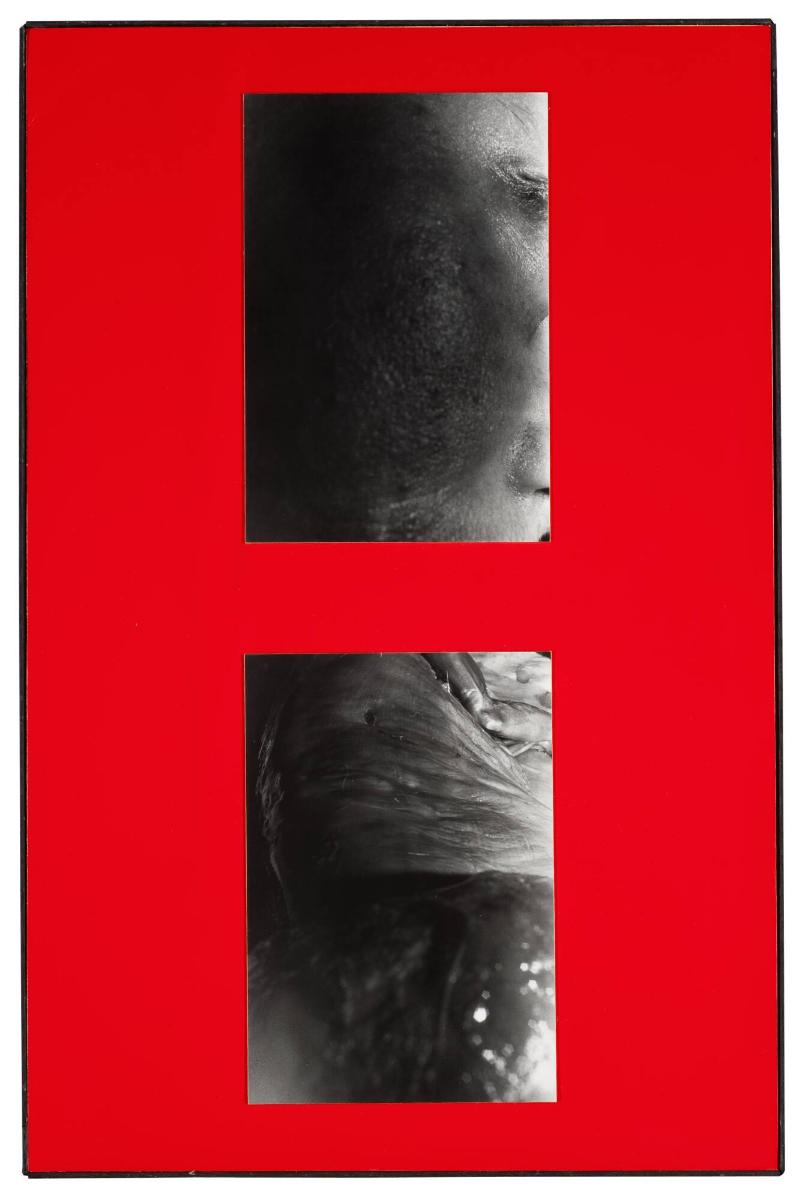 Titel saknas. Ur serien Parasites