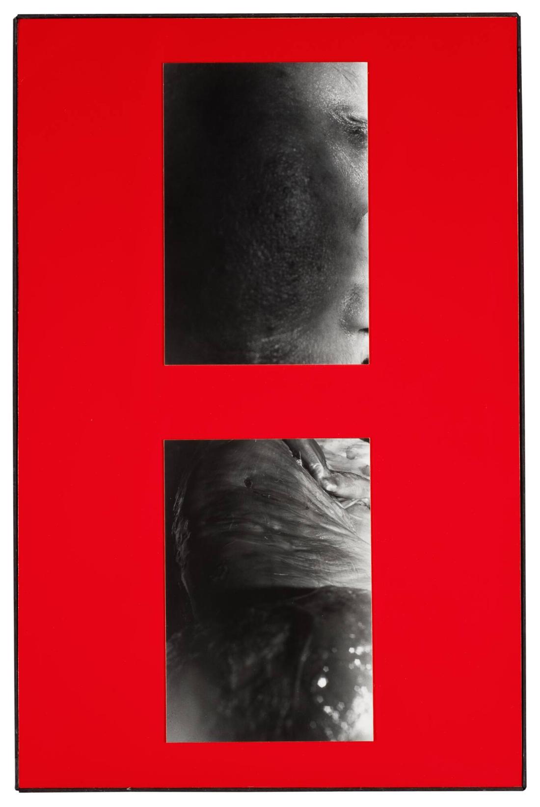 Titel saknas. Ur serien Parasites