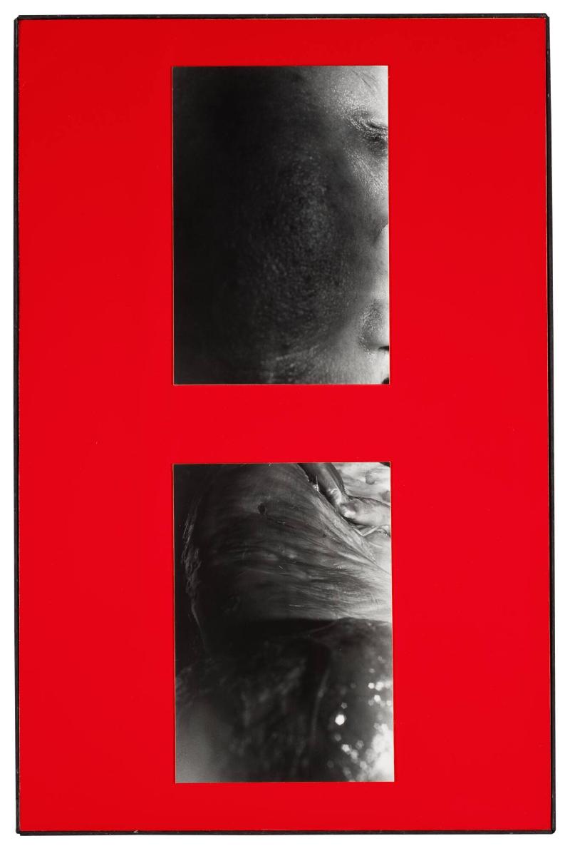 Titel saknas. Ur serien Parasites