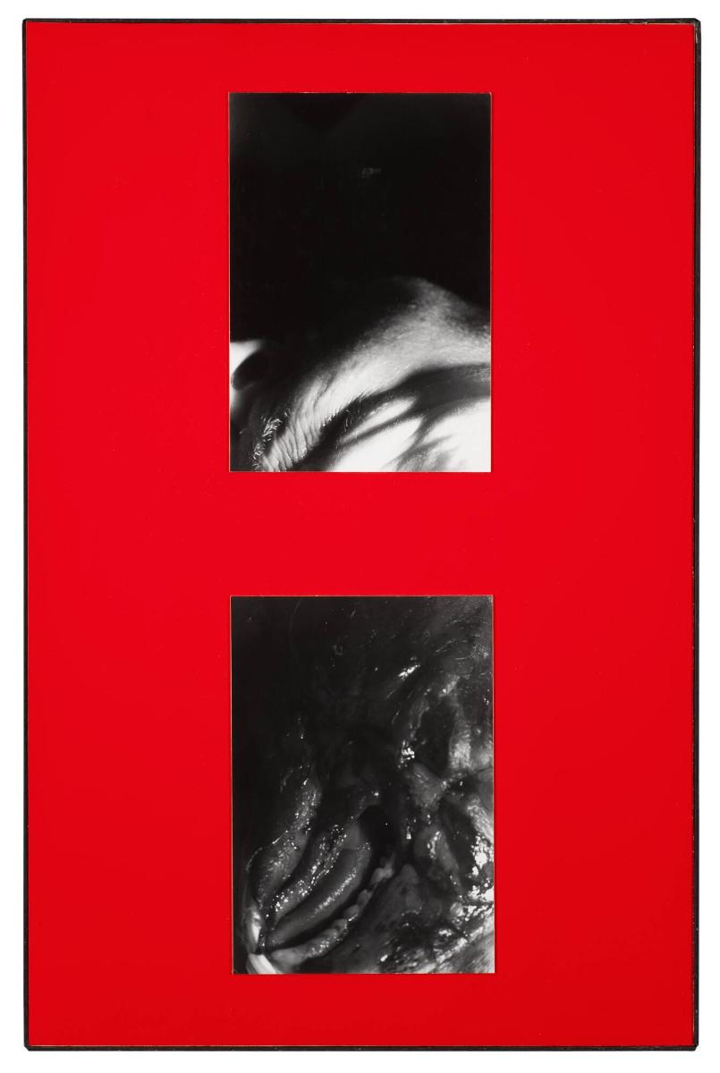 Titel saknas. Ur serien Parasites