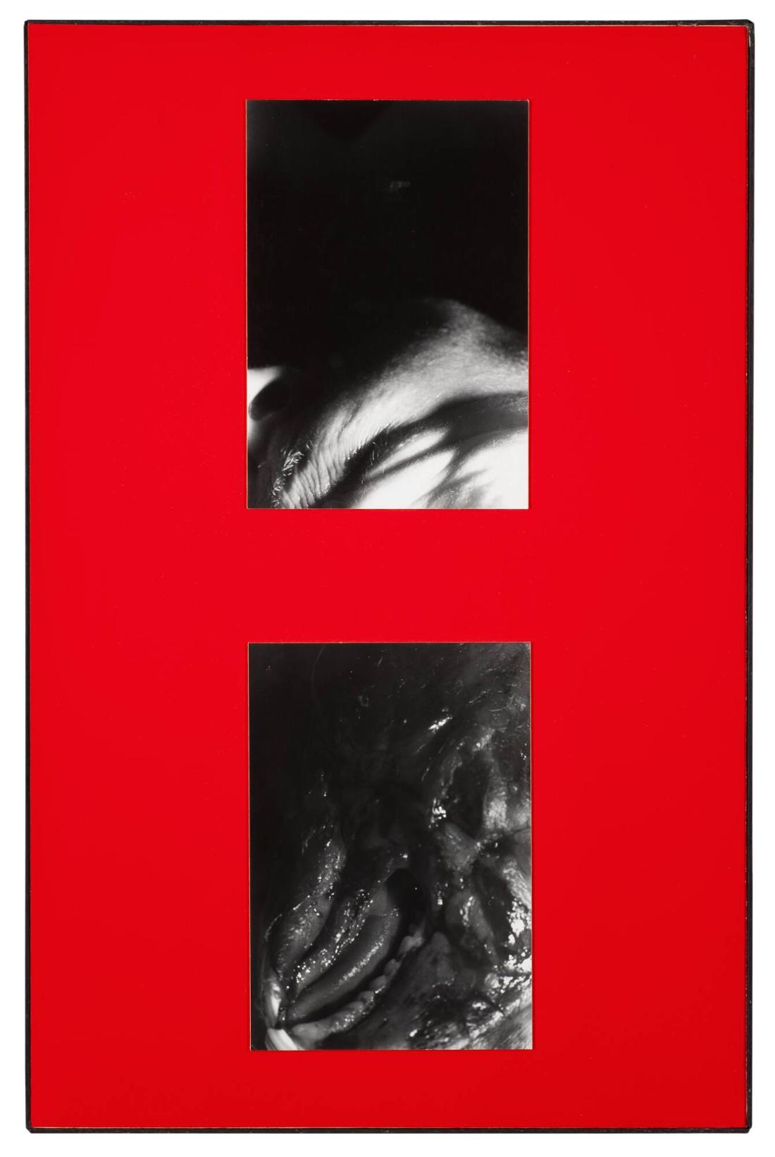 Titel saknas. Ur serien Parasites