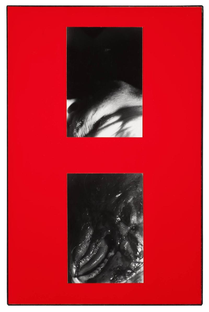 Titel saknas. Ur serien Parasites