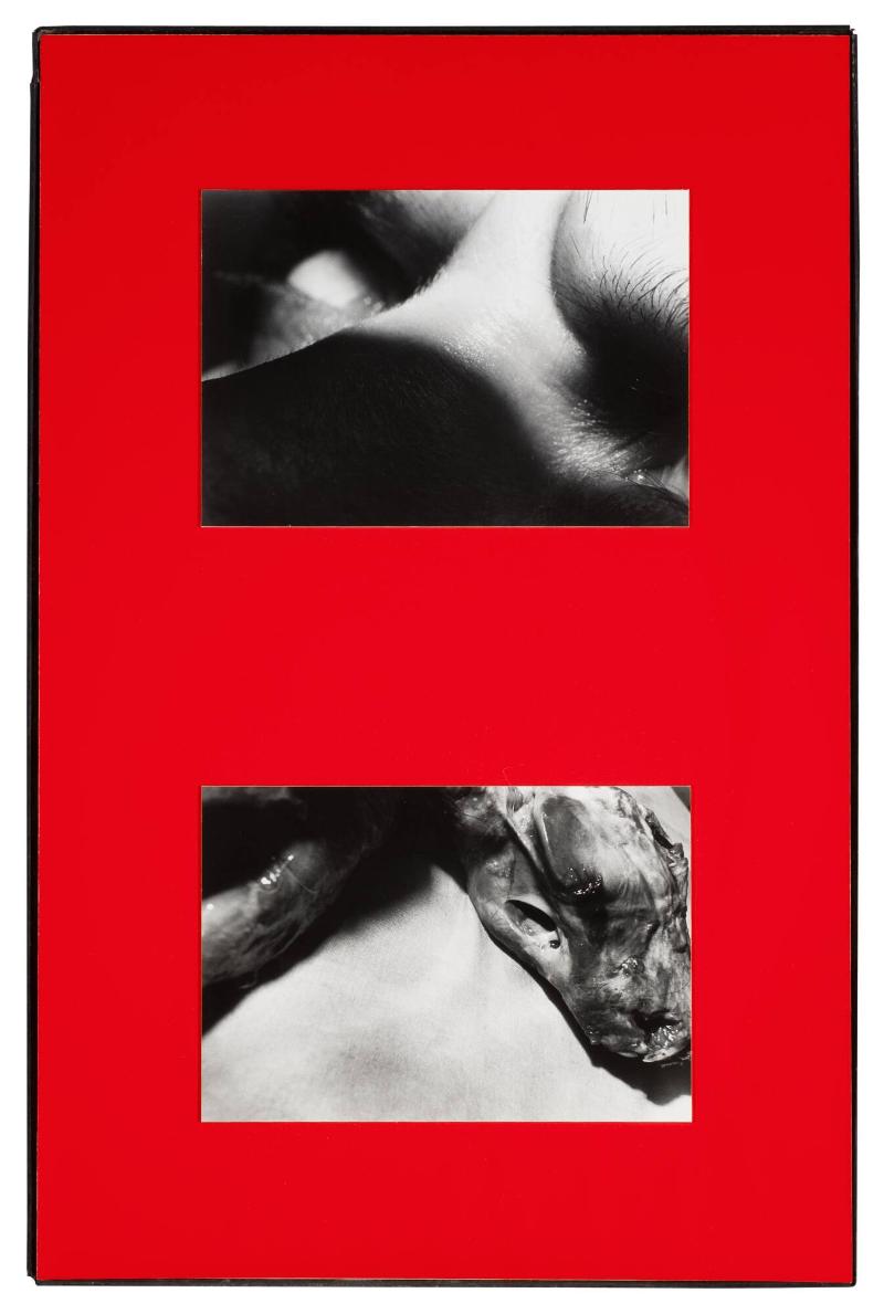 Titel saknas. Ur serien Parasites