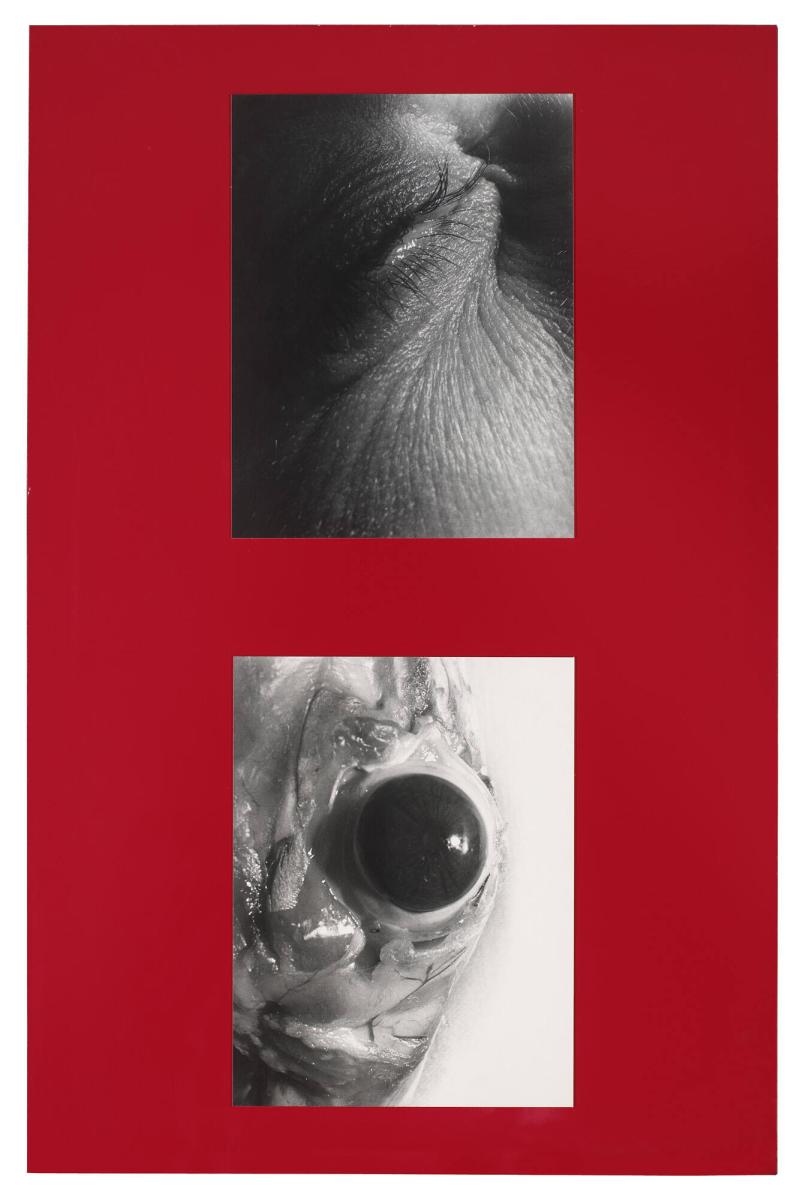 Titel saknas. Ur serien Parasites