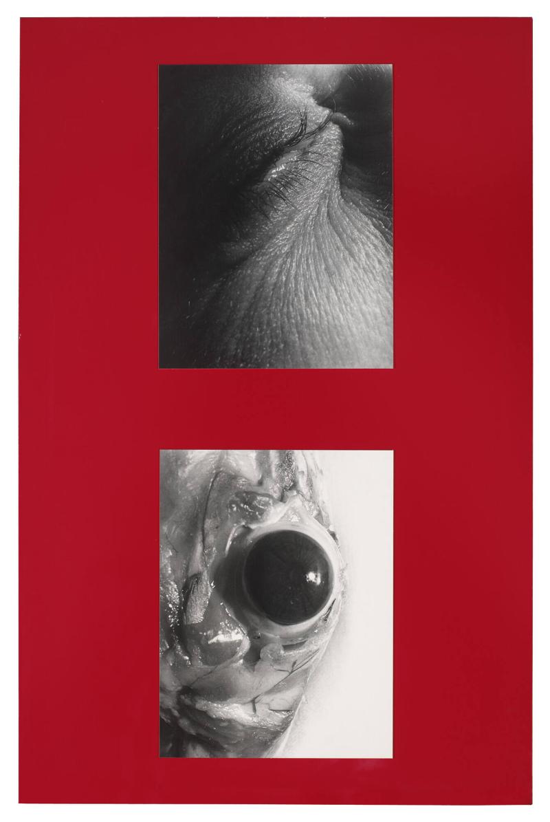 Titel saknas. Ur serien Parasites