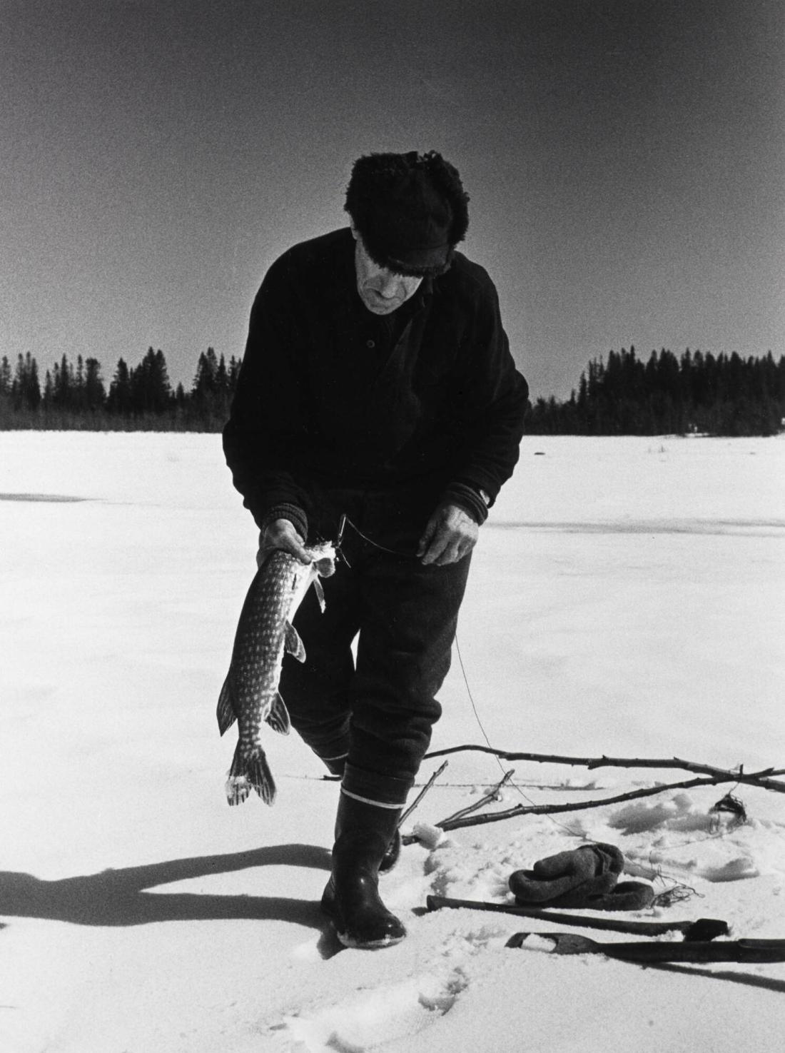 Fiskaren Helge Sundström fiskar gädda med gäddsax på Täftefjärden. Ur serien Varia.
