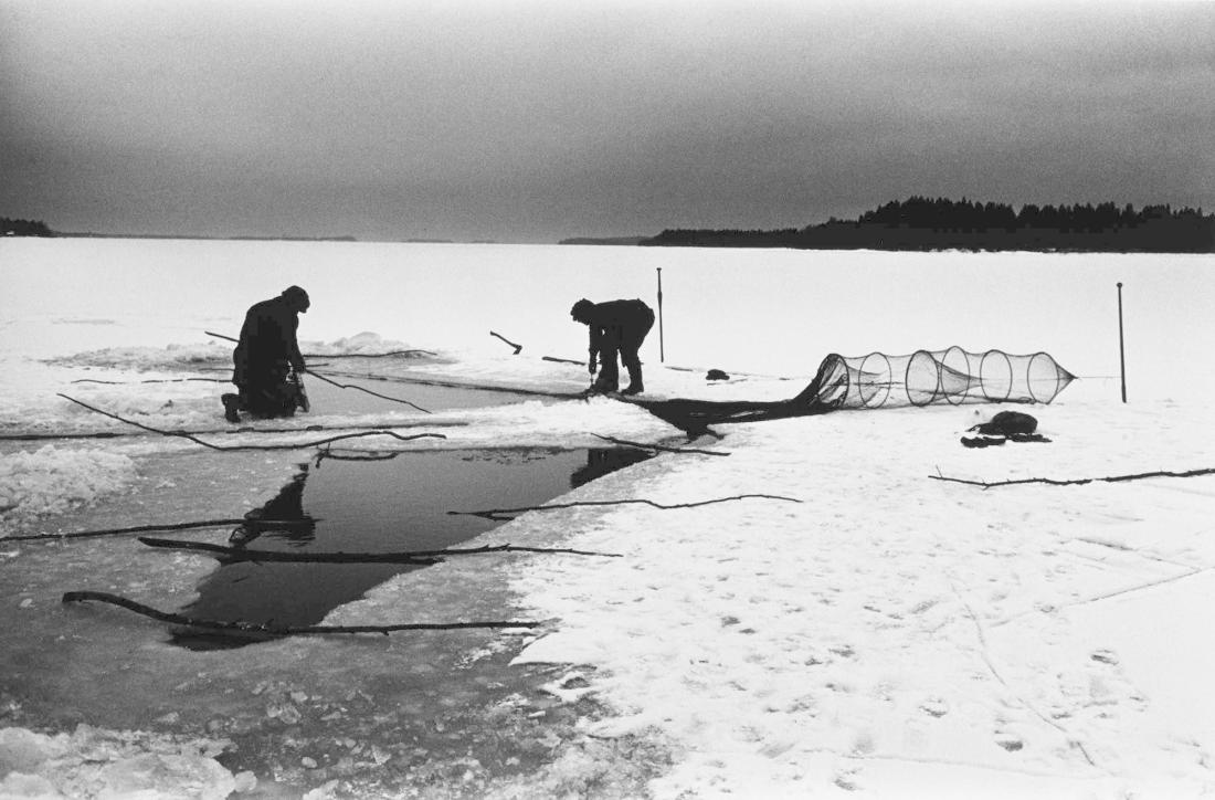 Fiskaren Gösta Sundström lägger ut lakryssja på Täftefjärden. Ur serien Varia.