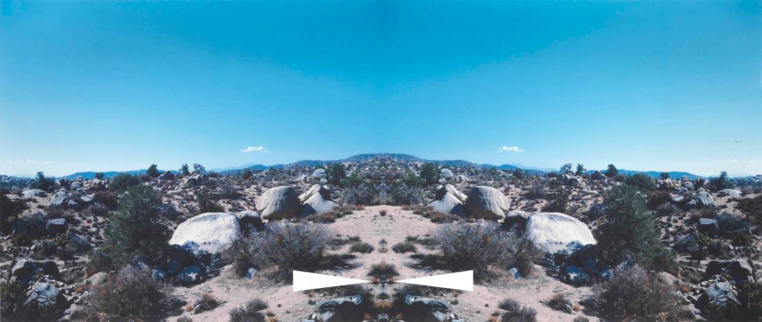 Bow-Tie Palm Springs (Bow-Tie Landscapes)