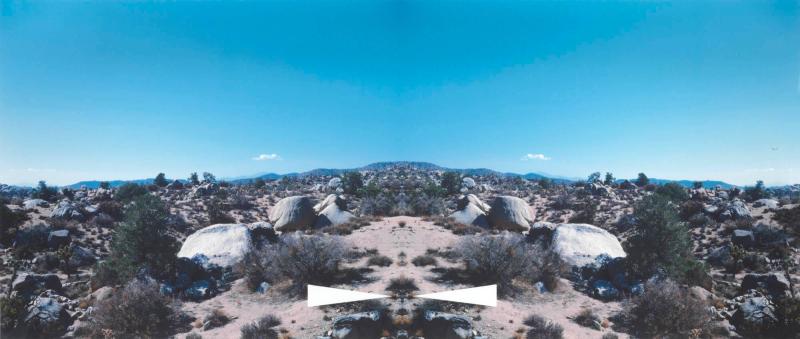 Bow-Tie Palm Springs (Bow-Tie Landscapes)