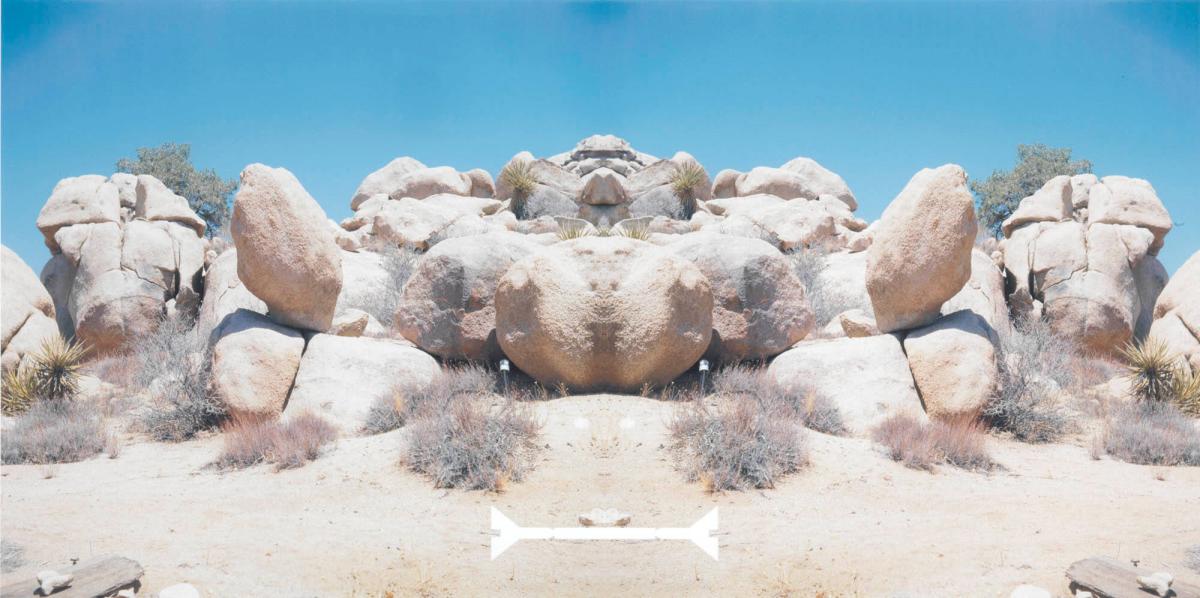 Bow-Tie Rivet (Bow-Tie Landscapes)