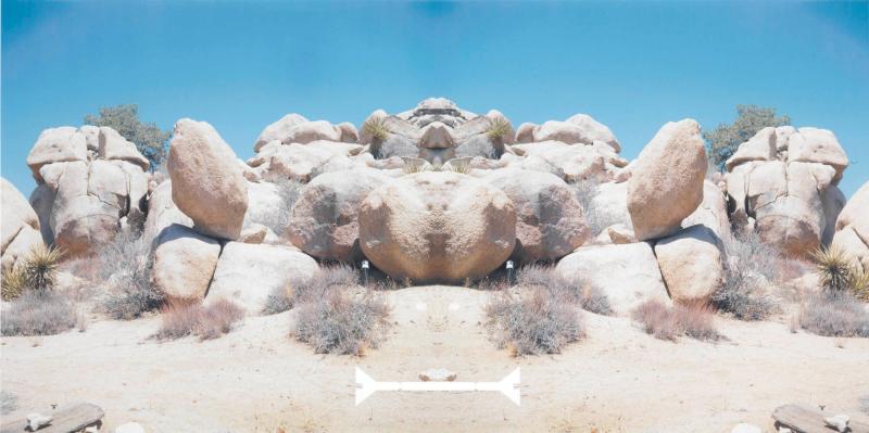 Bow-Tie Rivet (Bow-Tie Landscapes)