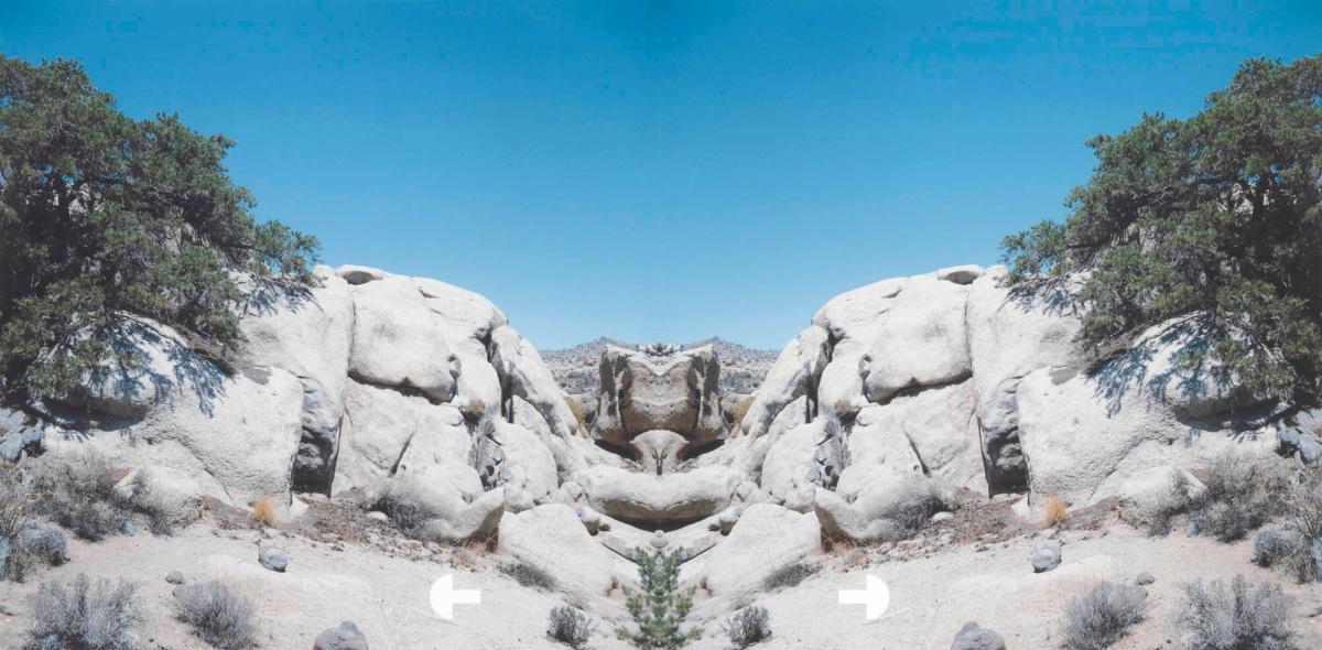 Bow-Tie Screwhead (Bow-Tie Landscapes)