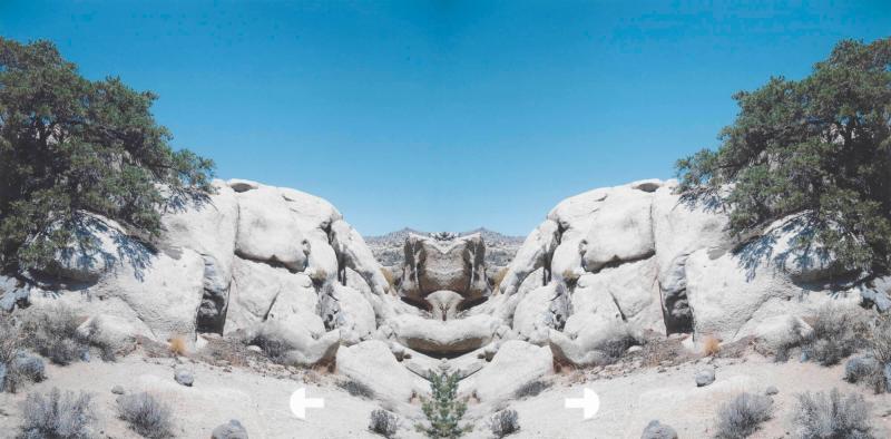 Bow-Tie Screwhead (Bow-Tie Landscapes)