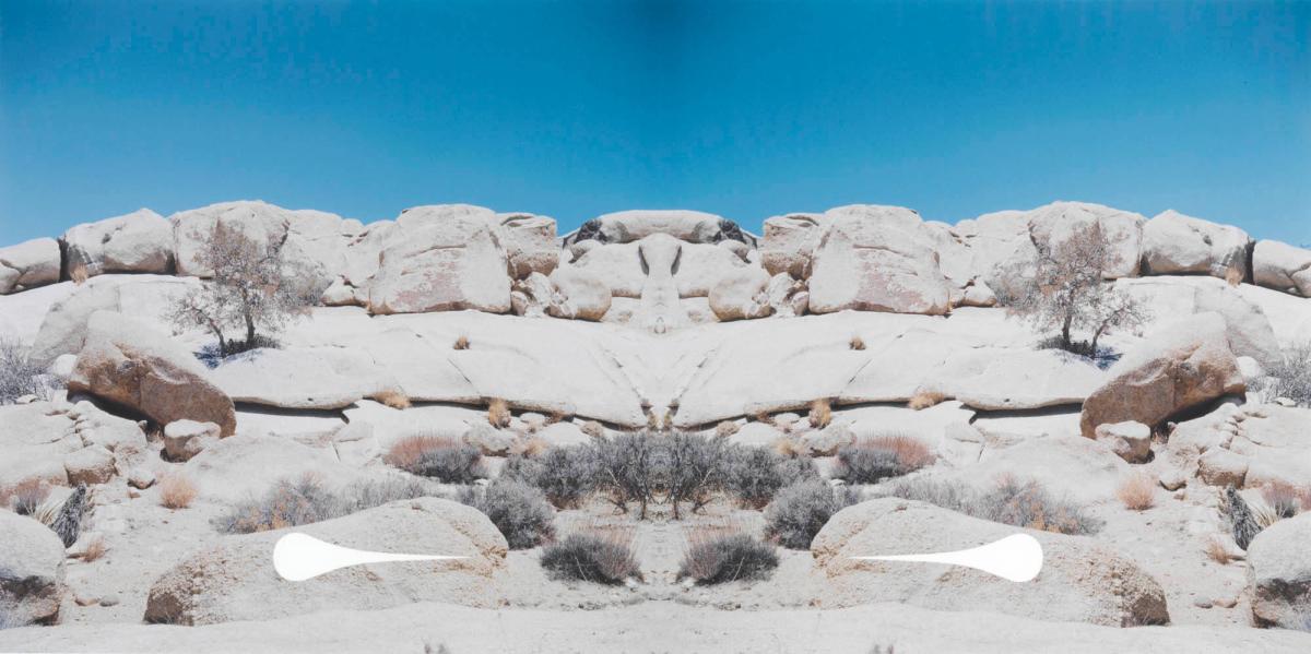 Bow-Tie Teardrop (Bow-Tie Landscapes)