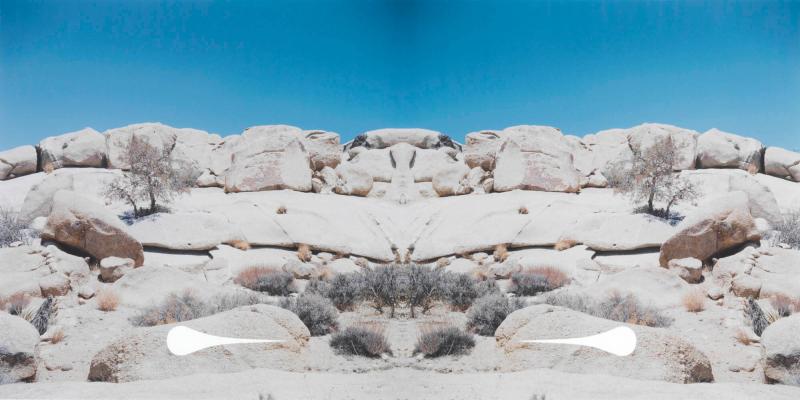 Bow-Tie Teardrop (Bow-Tie Landscapes)