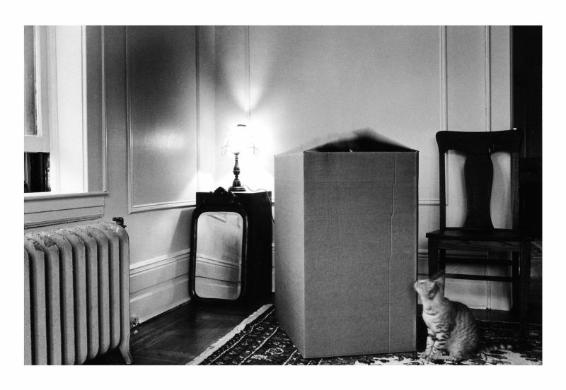 No title. From the series Margaret finds a Box