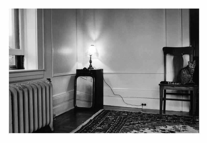 The Apparitions: His Friends