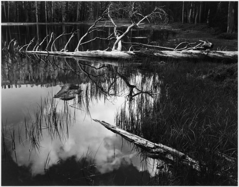 Siesta Lake