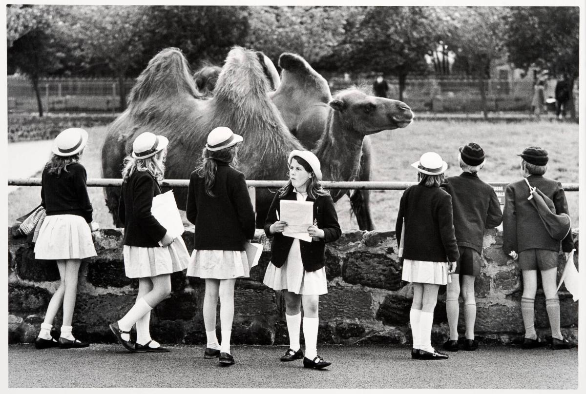 Chester Zoo. Ur serien Fotografier från England och Wales