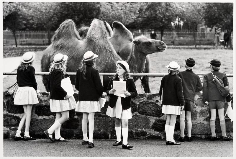 Chester Zoo. Ur serien Fotografier från England och Wales