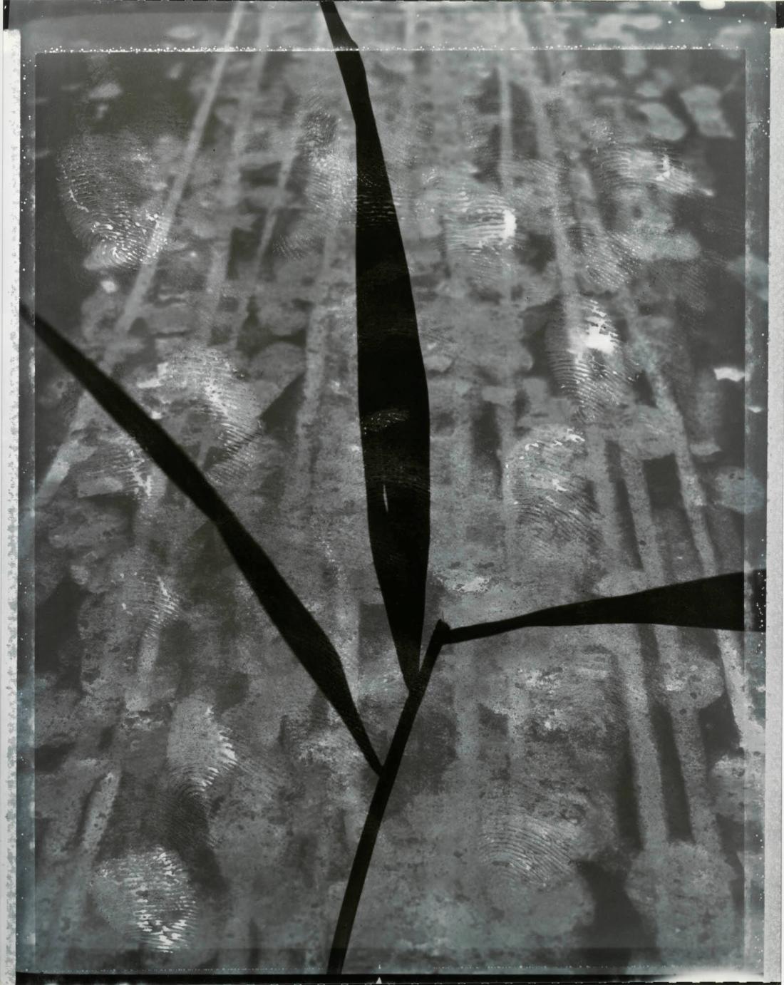 UT 57 (P/N)