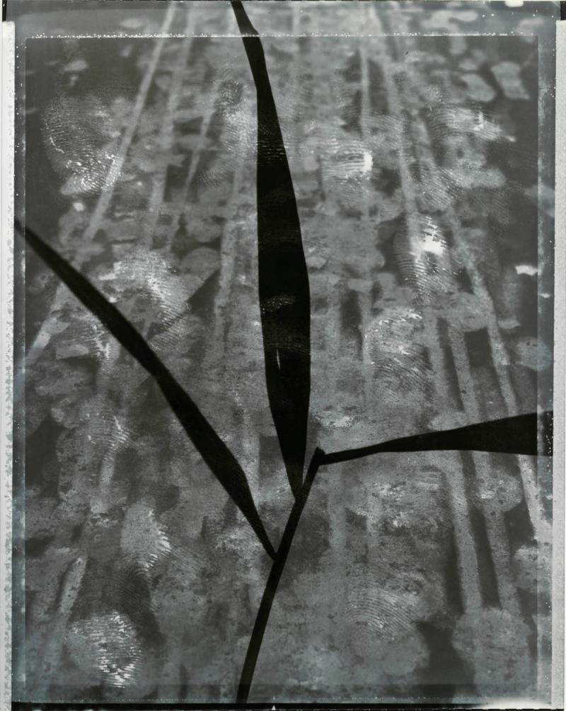UT 57 (P/N)