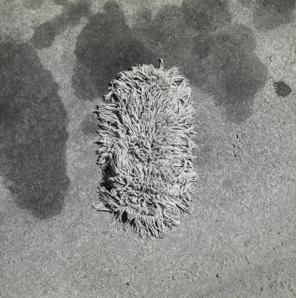 Utan titel. Ur serien Trivia