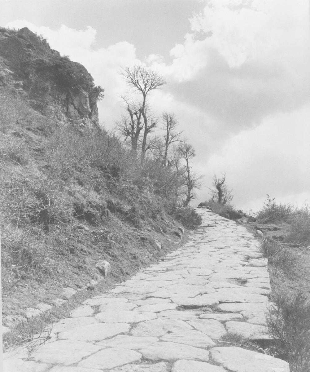 Via Triumphalis, Monte Cavo, Rom, april, 1949