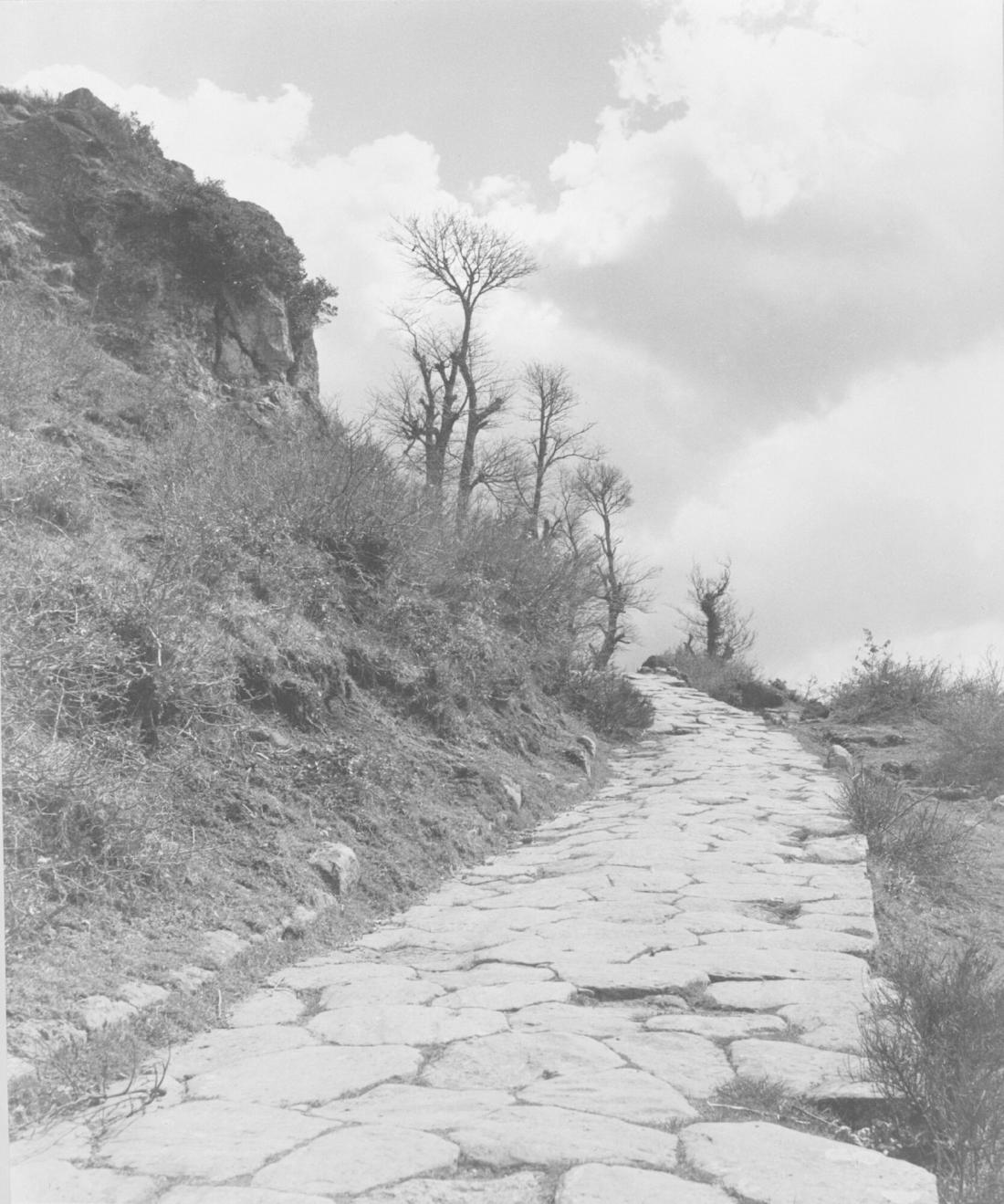 Via Triumphalis, Monte Cavo, Rom, april, 1949