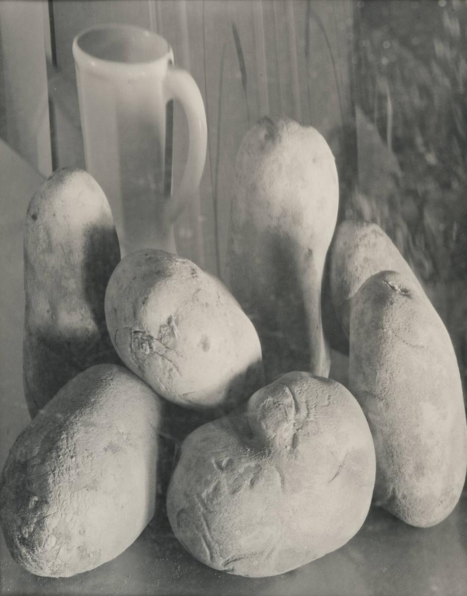 Potatis