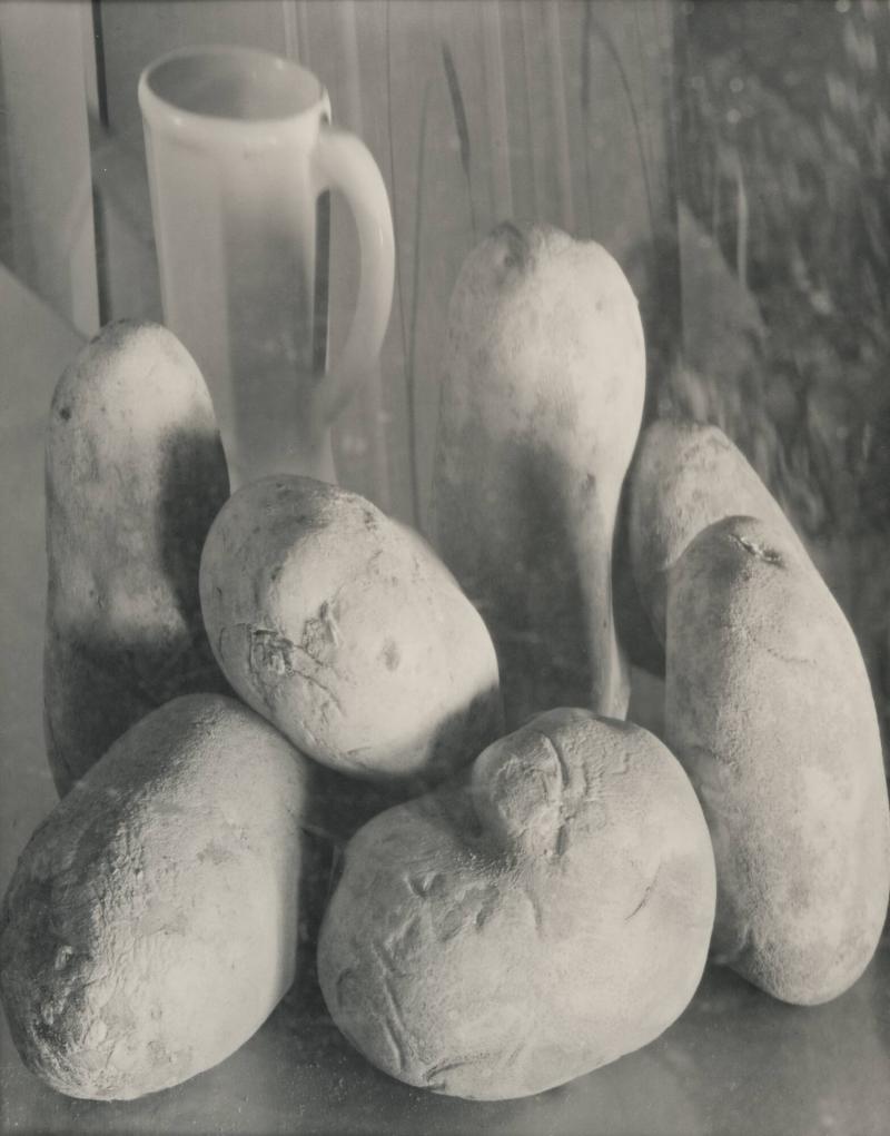 Potatis