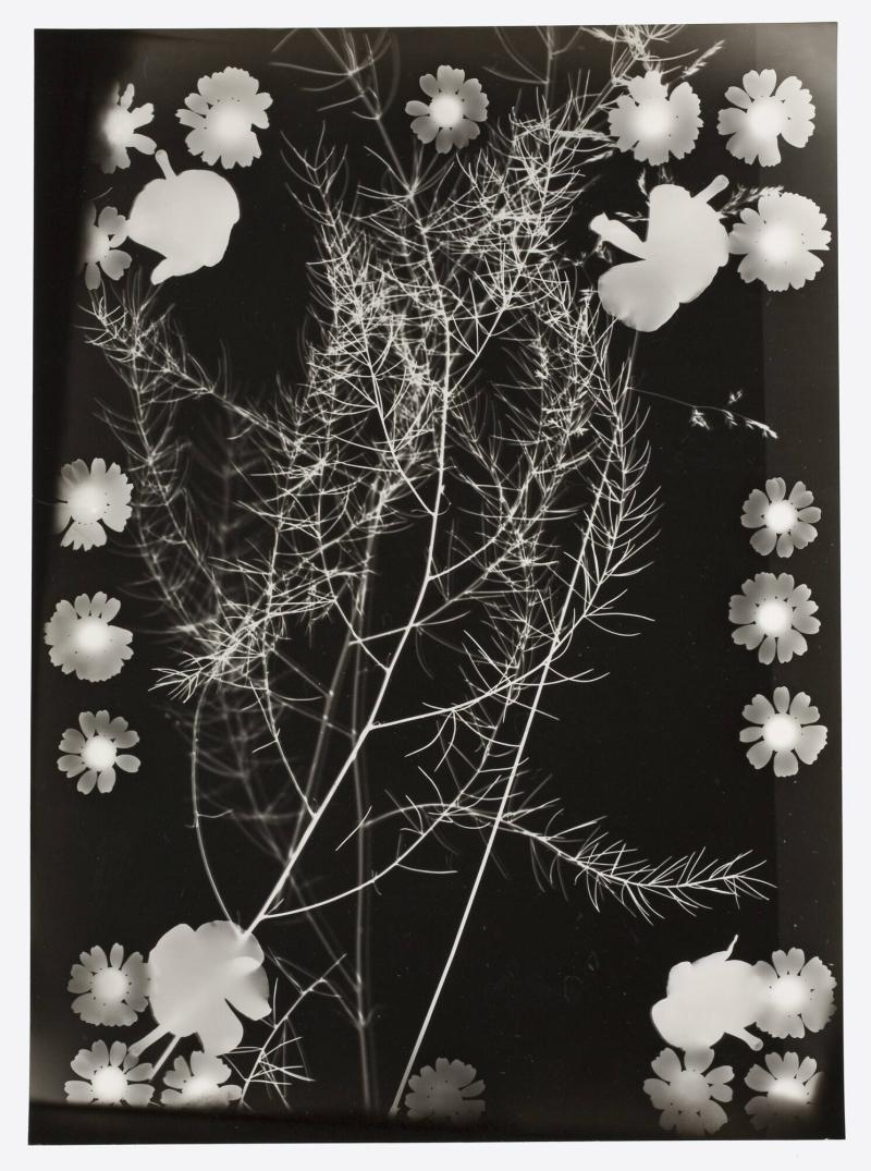 Decorative motive