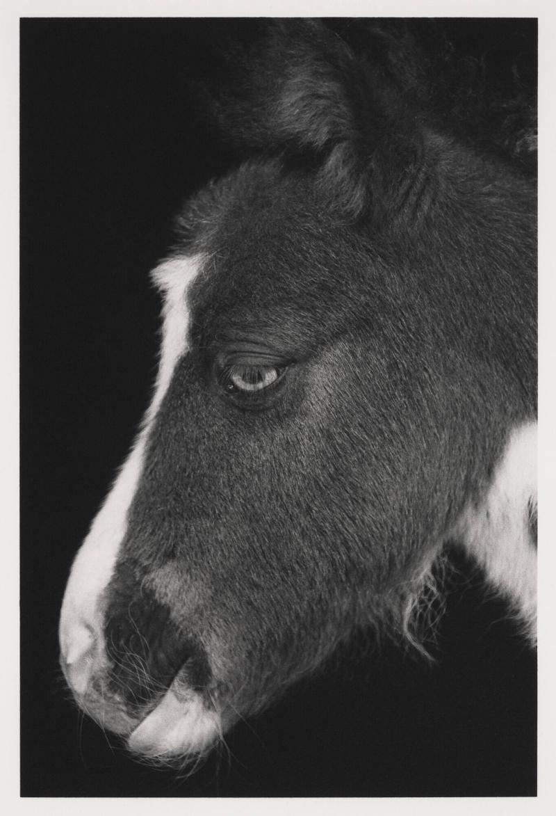 1987. Ur serien 135-36
