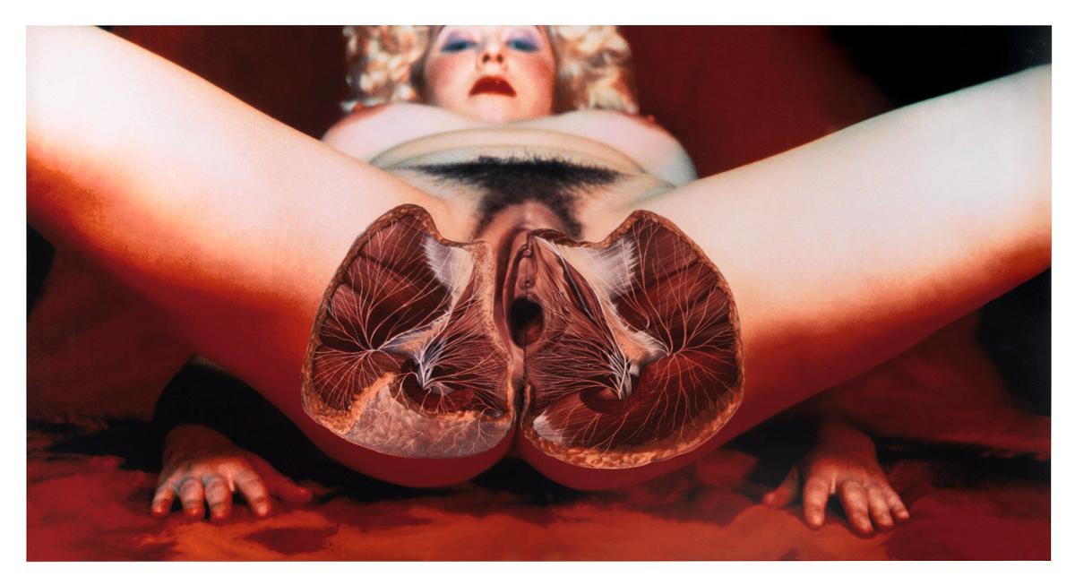 Open Legs. Ur serien Views