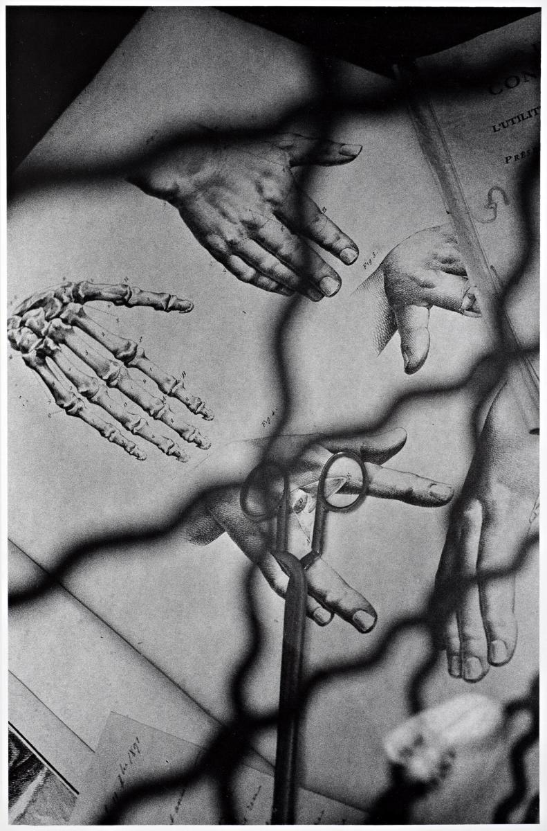 No title. From the series L'Oeil flottant