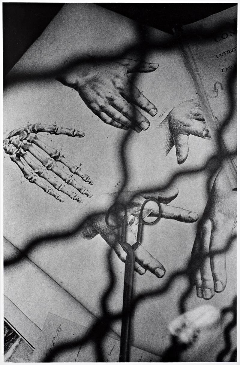 No title. From the series L'Oeil flottant
