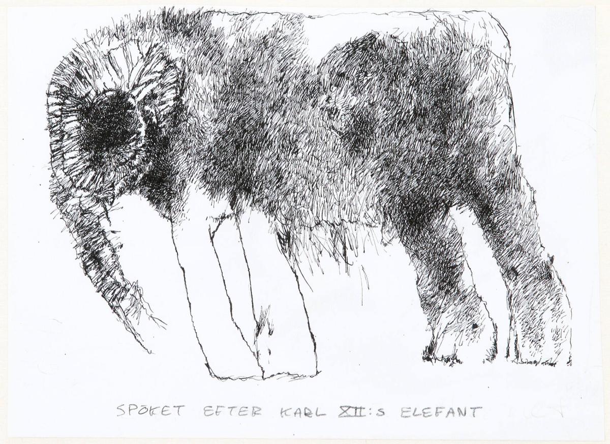 Spöket efter Karl XII:s elefant