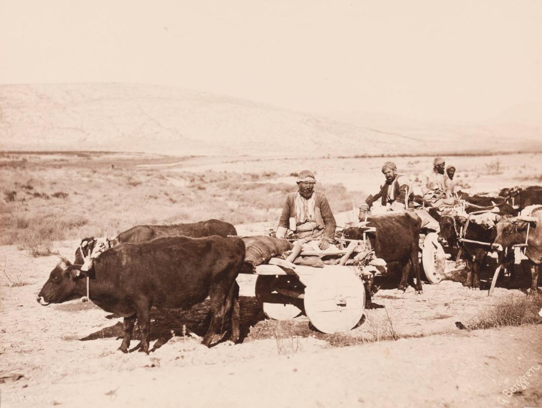 Charette de paysant d'Afion-Karahissar, No 18