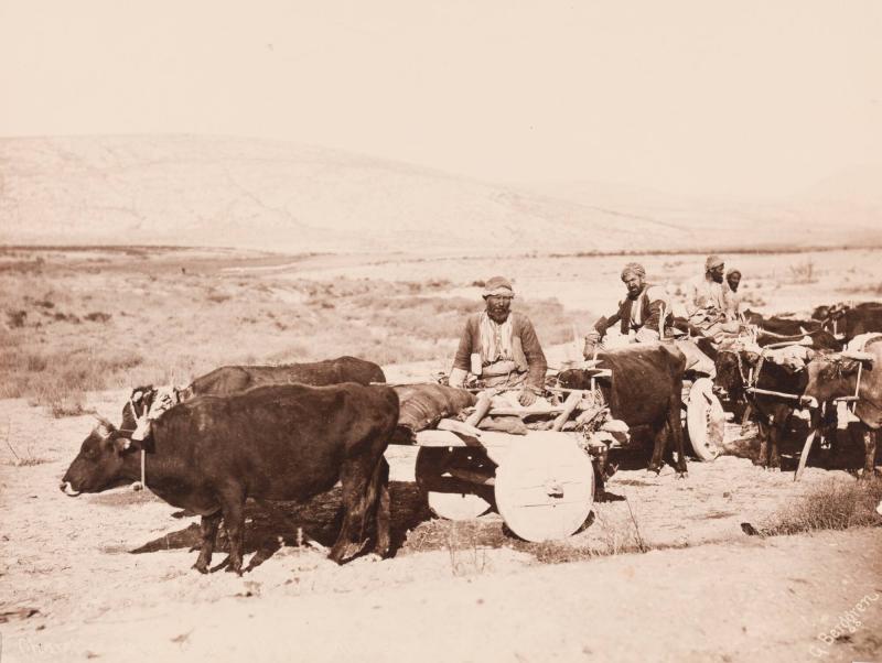 Charette de paysant d'Afion-Karahissar, No 18