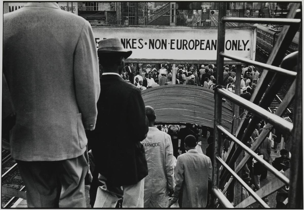 Nightmare Rides. From the series House of Bondage