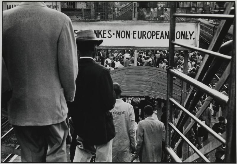 Nightmare Rides. From the series House of Bondage