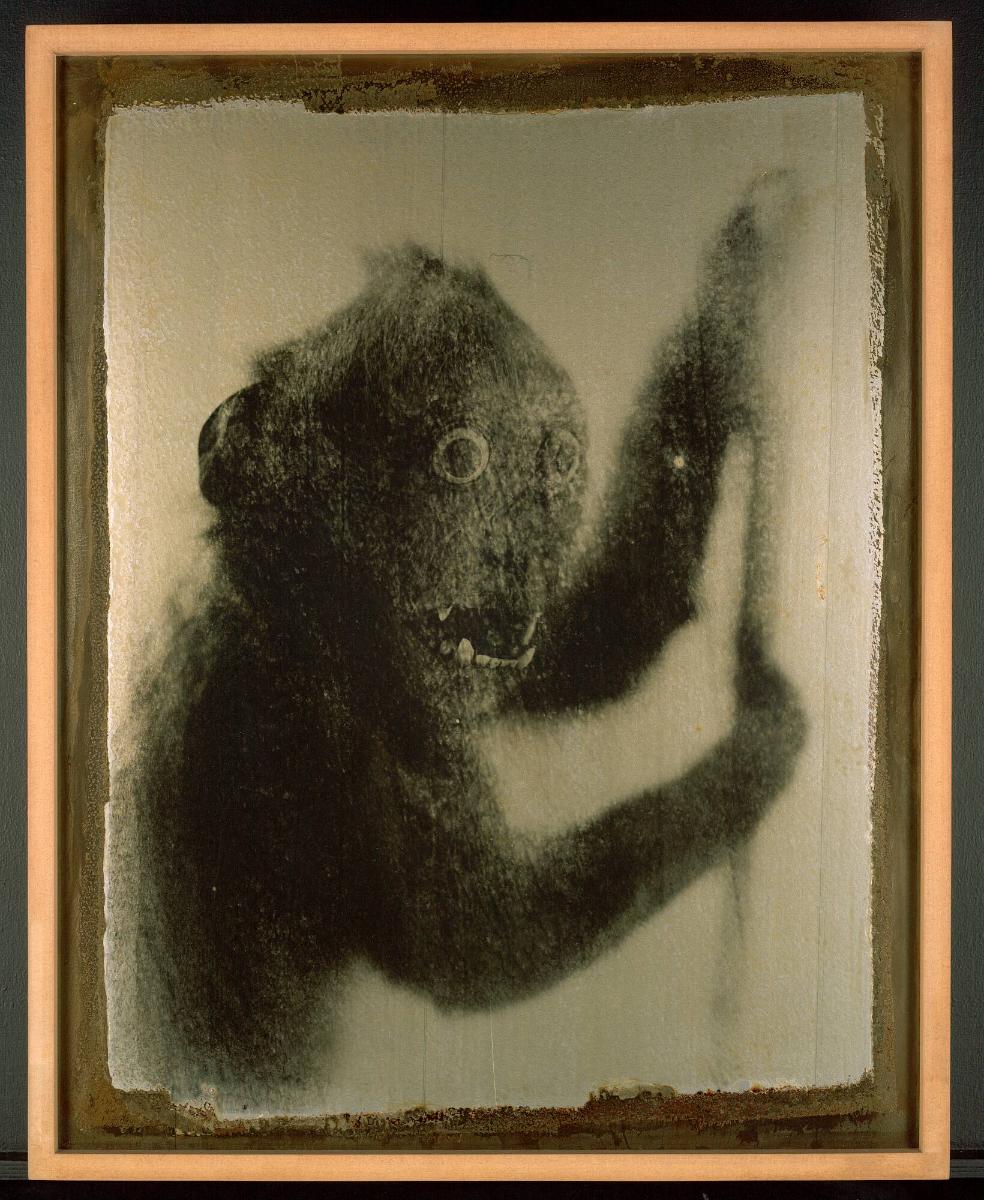 Utan titel