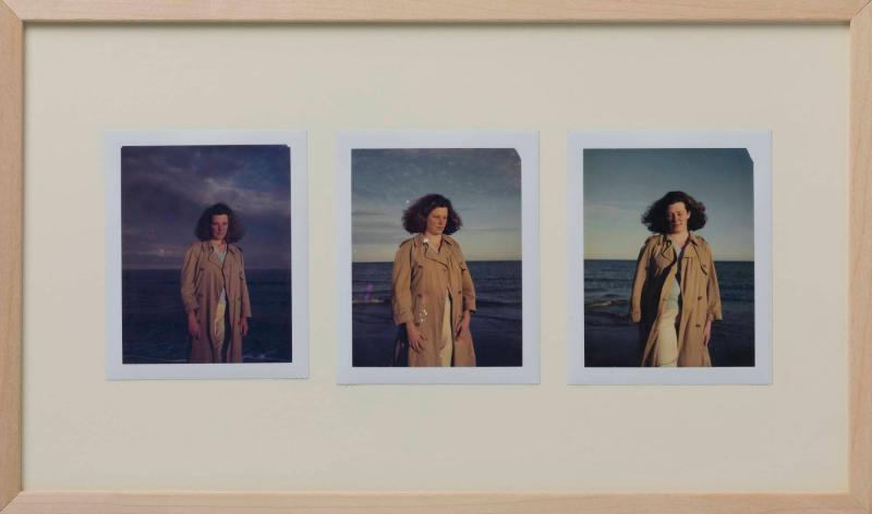 Documentation of Annika by the Sea (Annika Öhrner at Skagerak/Kattegatt)