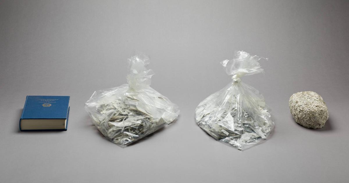 Snille och Smak. Thinking is Digestion (Wittgenstein)