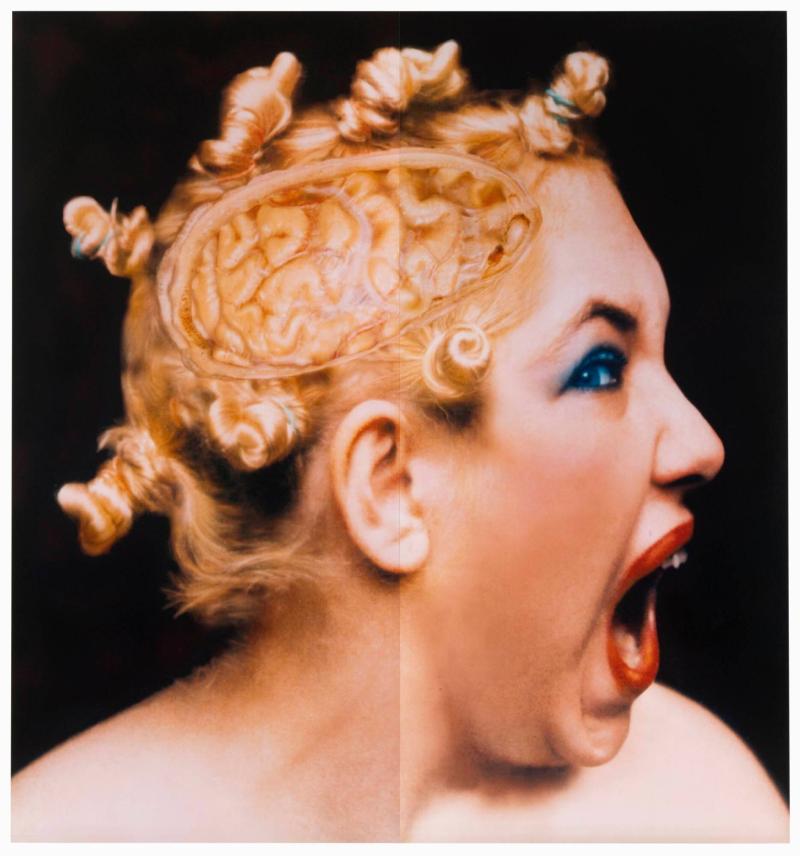 Screaming Head. Ur serien Views