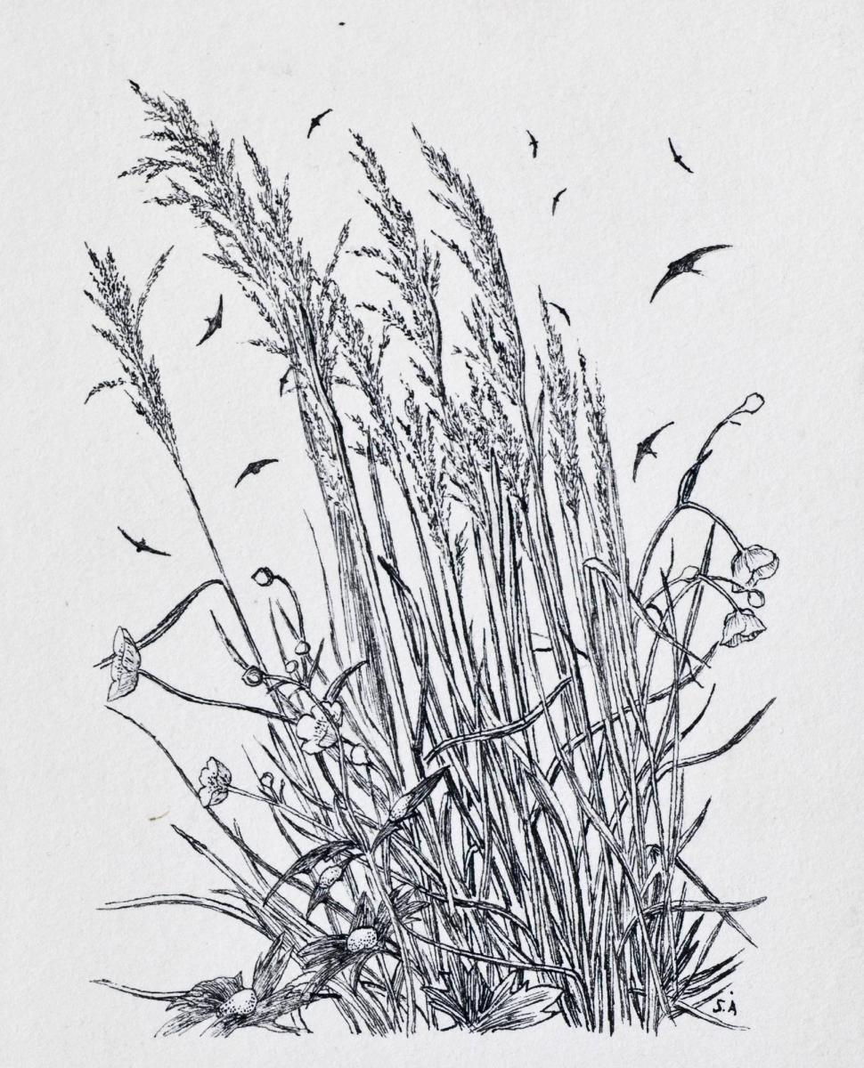 Blomstermotiv