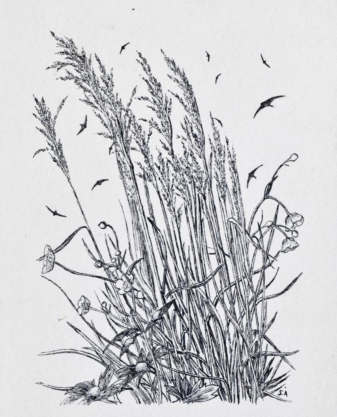 Blomstermotiv