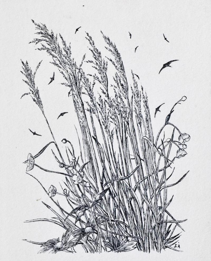 Blomstermotiv