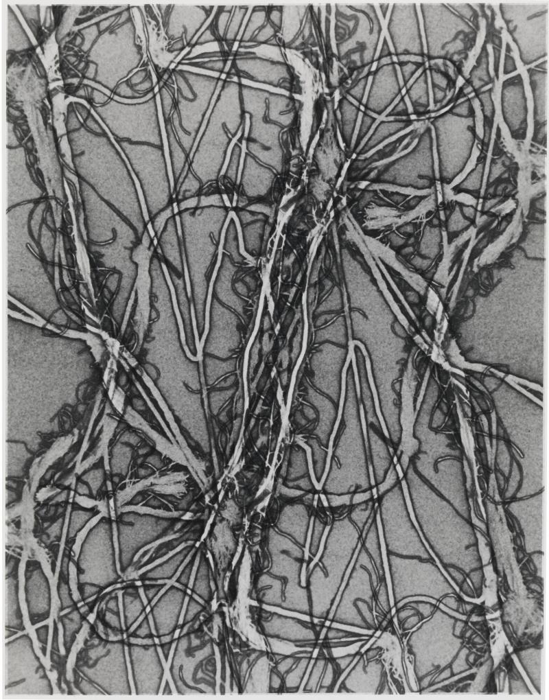 Verto II /Man Ray/ 1992