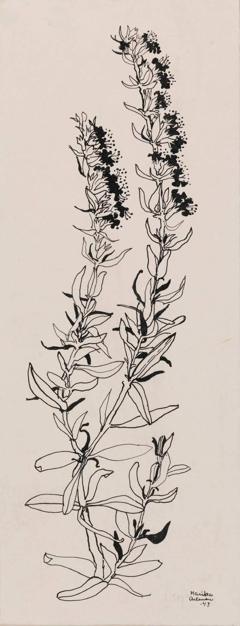 Blomstermotiv